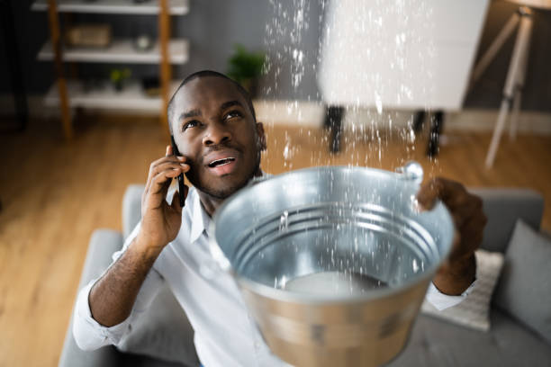 Best Ceiling water damage repair  in East Vineland, NJ