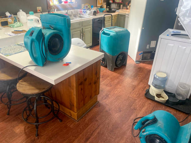 Best Water damage restoration near me  in East Vineland, NJ