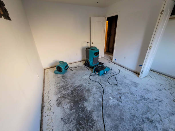 Best Water damage restoration near me  in East Vineland, NJ