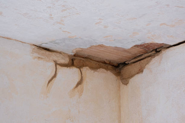 Best Carpet water damage restoration  in East Vineland, NJ