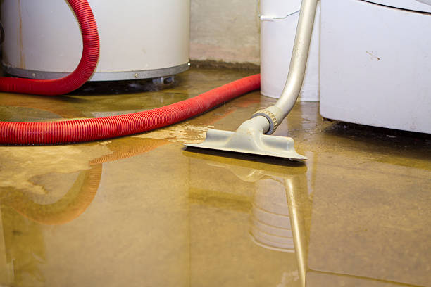Best Water damage mitigation services  in East Vineland, NJ