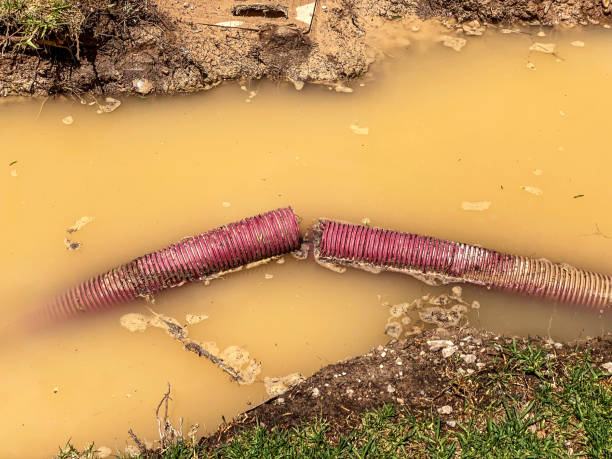 Best Water damage cleanup near me  in East Vineland, NJ