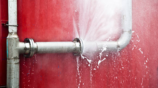 Best Water damage contractors near me  in East Vineland, NJ